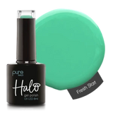Hope Springs Eternal Collection - Halo Polish