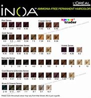 Inoa 200 Oxydant 10 Vol 1000Ml