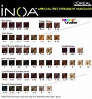 INOA 200 OXYDANT 10 VOL 1000ml