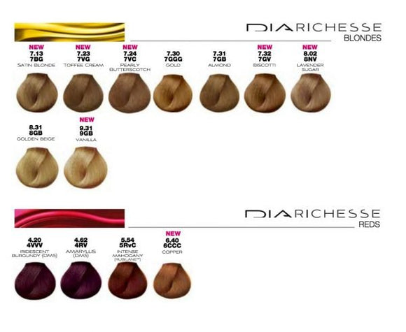 Dia Richesse