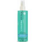 Protect Hygiene Spray 250Ml